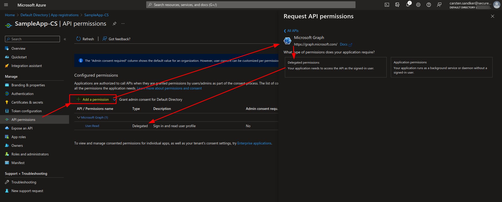 Choosing the API Permission Type in the Azure Portal