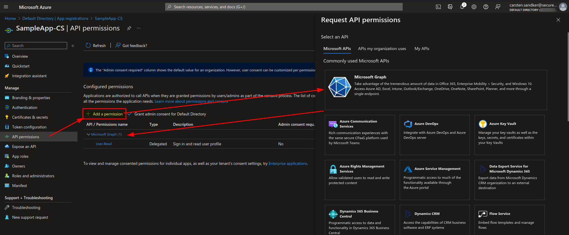 Setting API Permissions in the Azure Portal
