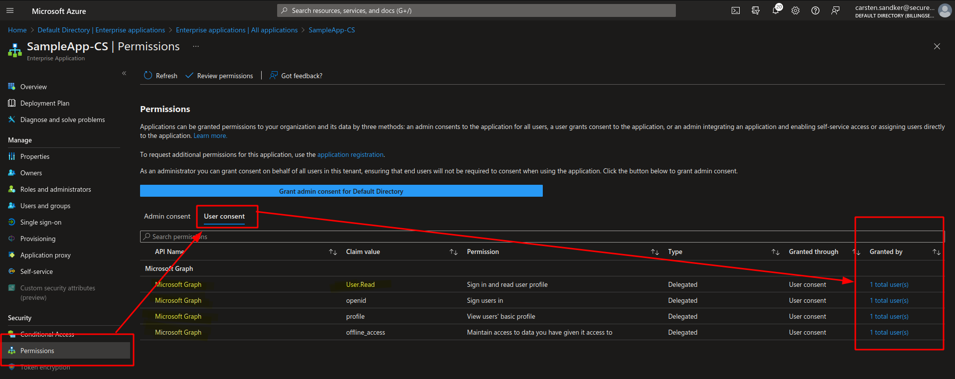 Showing Granted Delegated API Permissions in the Azure Portal